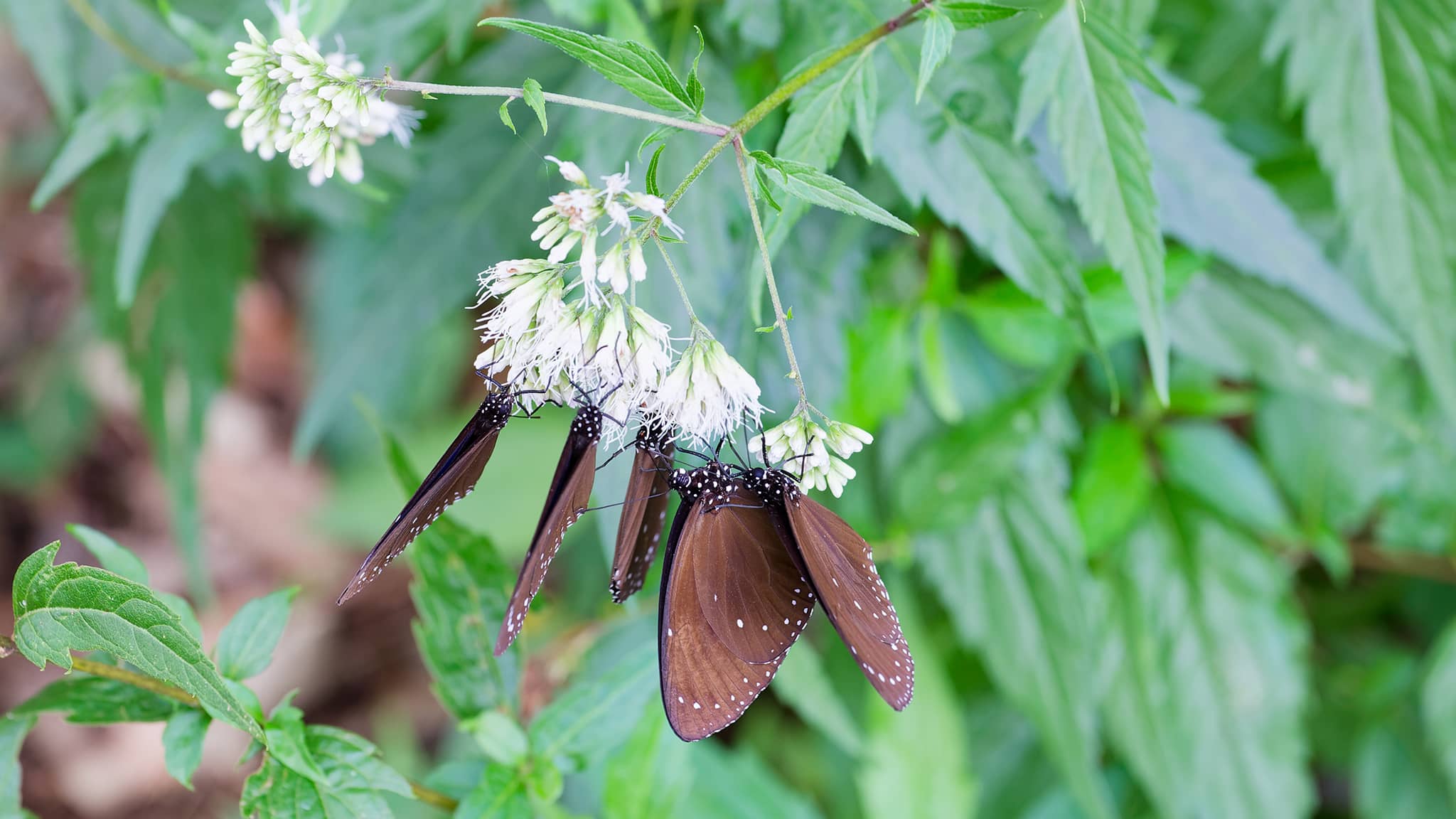 06 - Kaohsiung (20).jpg